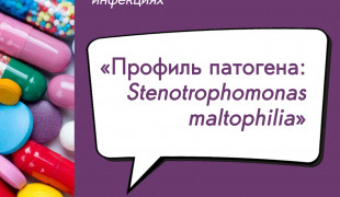 вебинар «Профиль патогена: Stenotrophomonas maltophilia» - фото - 1