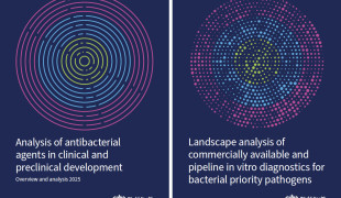 отчёты ВОЗ об антибактериальных препаратах и средствах диагностики 2025 - фото - 1