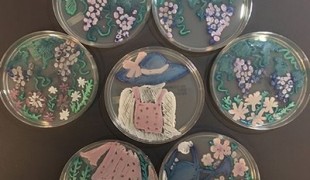 итоги международного конкурса рисунков AgarArt - фото - 1